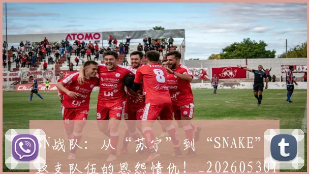 SN战队：从“苏宁”到“SNAKE”，这支队伍的恩怨情仇！_20260530143738