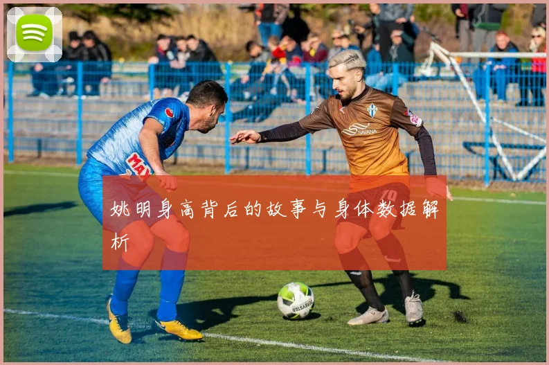 姚明身高背后的故事与身体数据解析