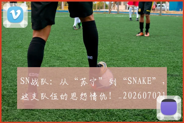 SN战队:从“苏宁”到“SNAKE”,这支队伍的恩怨情仇!_20260702170913