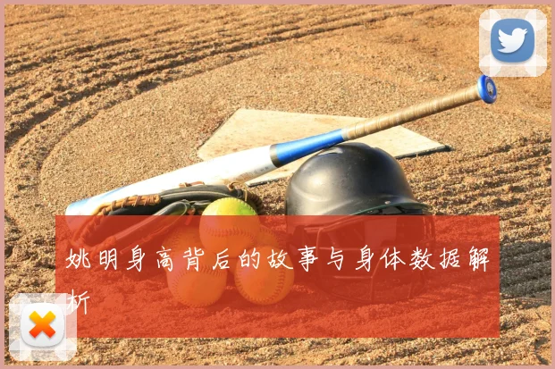 姚明身高背后的故事与身体数据解析