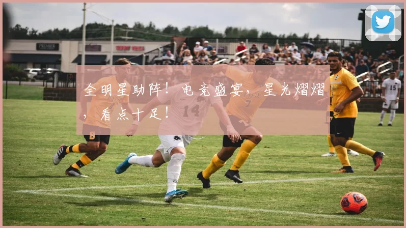 全明星助阵!电竞盛宴,星光熠熠,看点十足!