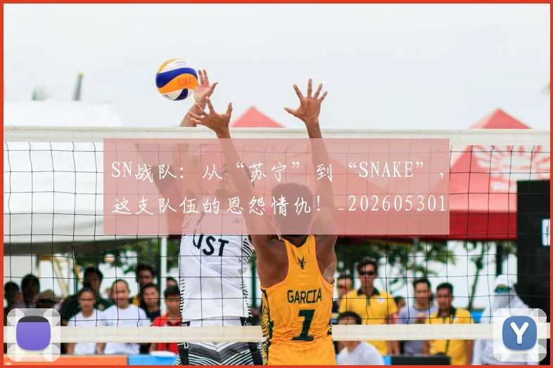 SN战队：从“苏宁”到“SNAKE”，这支队伍的恩怨情仇！_20260530143738